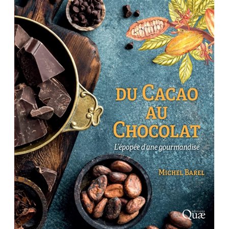 Du cacao au chocolat: l'épopée d'une gourmandise