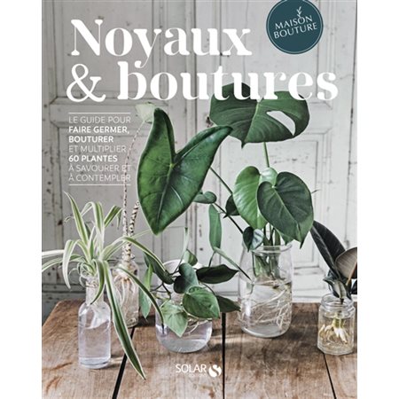 Noyaux & boutures
