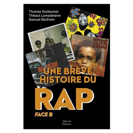 Face B, Tome 2, Une brève histoire du rap