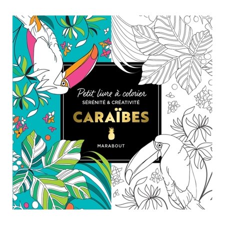 Caraïbes: petit livre à colorier