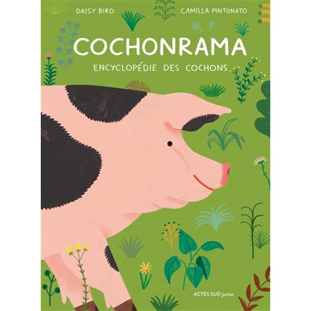 Cochonrama : encyclopédie des cochons