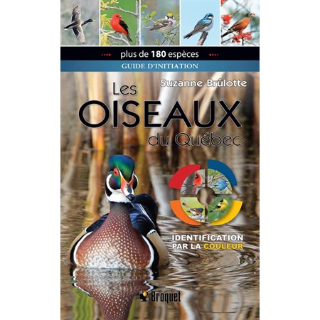Les oiseaux du Québec: Guide d'initiation