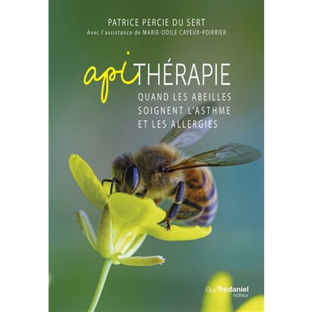 Apithérapie : quand les abeilles soignent l'asthme et les allergies