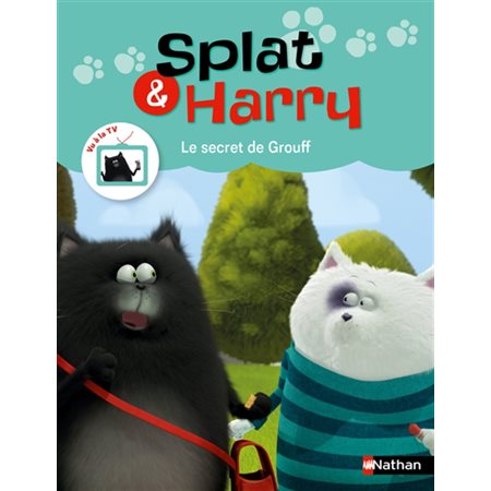 Le secret de Grouff, tome 7, Splat & Harry