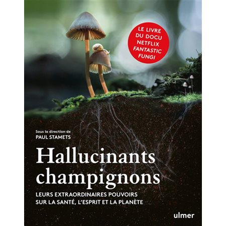 Hallucinants champignons