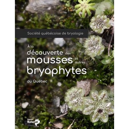 À la découverte des mousses et autres bryophytes du Québec