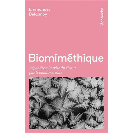 Biomiméthique : répondre à la crise du vivant par le biomimétisme