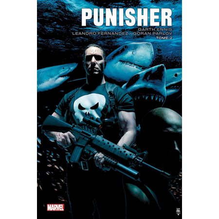 Punisher, Vol. 2
