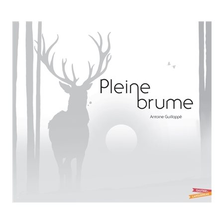 Pleine brume