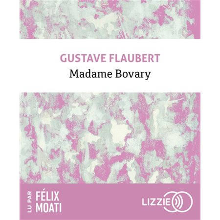 Madame Bovary  (livre audio)