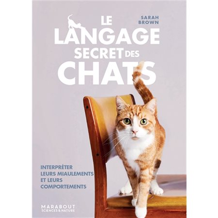 Le langage secret des chats