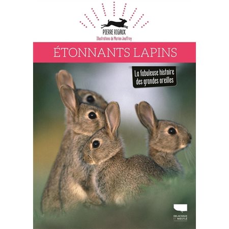 Etonnants lapins : la fabuleuse histoire des grandes oreilles