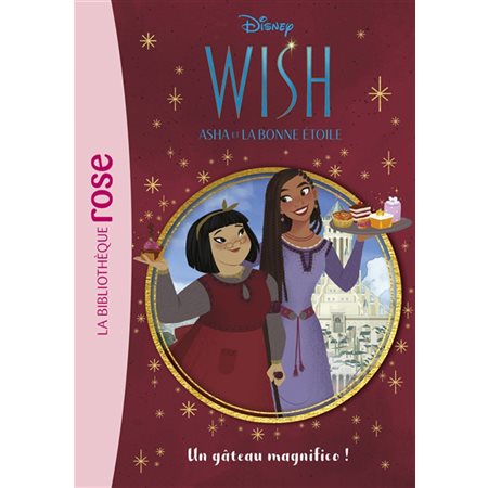 Un gâteau magnifico !, tome 3, Wish, Asha et la bonne étoile