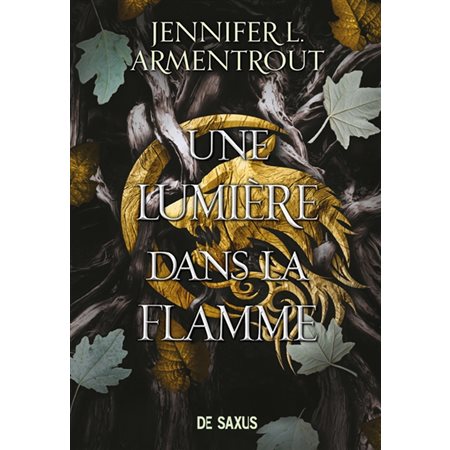 Une lumière dans la flamme, tome 2, la chair et le feu