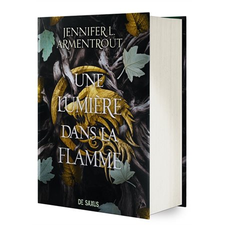 Une lumière dans la flamme, tome 2, la chair et le feu